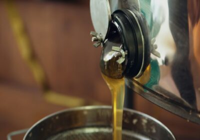 Производство масличных в мире достигло 722 млн тонн