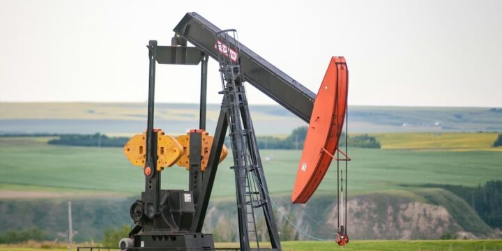 Рост цен на нефть оказывает поддержку рынкам растительных масел