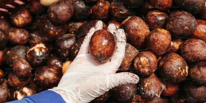 Погодные риски и расширение производства биодизеля приведут к сокращению мирового предложения пальмового масла – эксперт