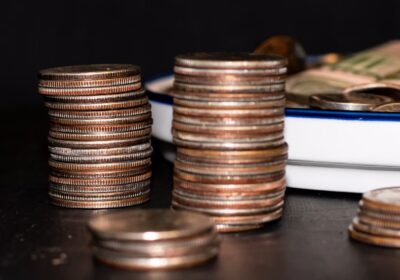 Обзор мер господдержки для производителей и переработчиков масличных