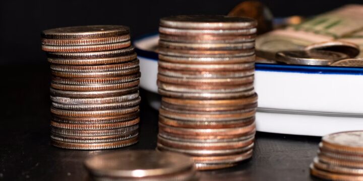 Обзор мер господдержки для производителей и переработчиков масличных