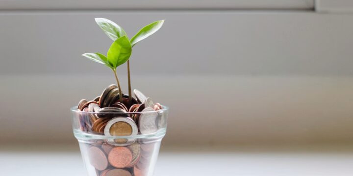 Субсидии на страхование в растениеводстве в 2027 году составят ₽3,9 млрд — проект приказа