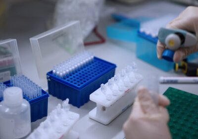 Ограничения из-за следов ГМО могут скорректировать экспорт рапсового масла в Китай